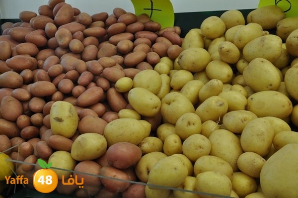 souq gan temar (18).JPG